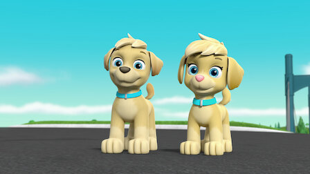 Watch Mighty Pups, Super Paws: Pups Meet the Mighty Twins. Episode 12 of Season 6.