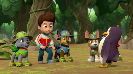 Watch Pups Save the Jungle Penguins / Pups Save a Freighter. Episode 1 of Season 6.