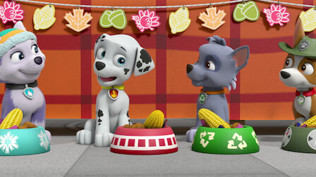 Watch Pups Save Thanksgiving/Pups Save a Windy Bay. Episode 22 of Season 5.